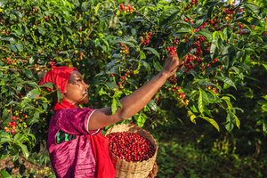 CDP Cooperazione internazionale Etiopia